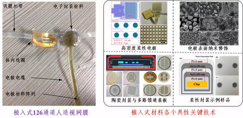 深圳先進(jìn)院攜多個(gè)黑科技產(chǎn)品閃耀CIOE2018，推動(dòng)光電技術(shù)交流與創(chuàng)新